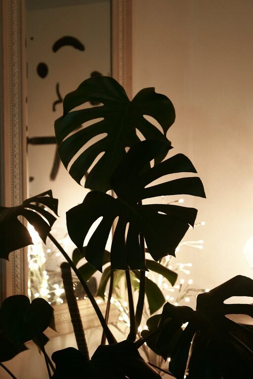 How to Start a Small Herb Garden Indoors: A Beginner’s Guide